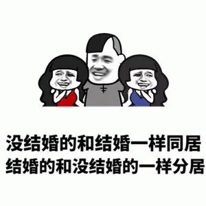 示例图片